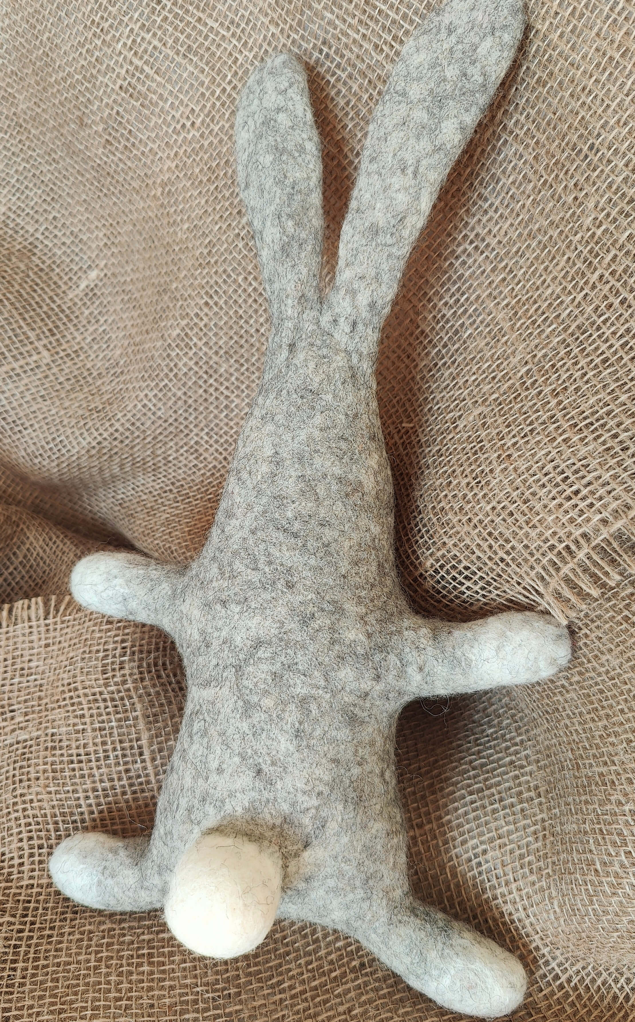 Дългоушко – thumbnail 2